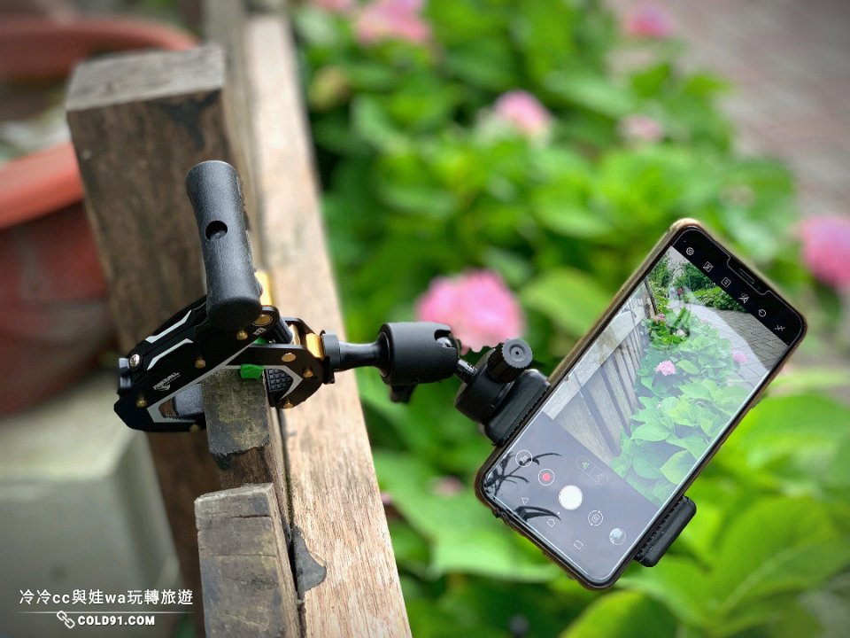 A15600810092568066124683750416167