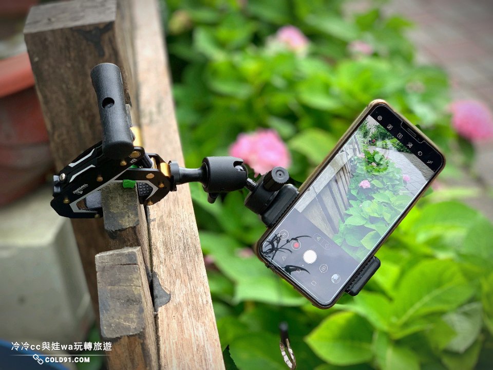 A15600810095632384806770839405619